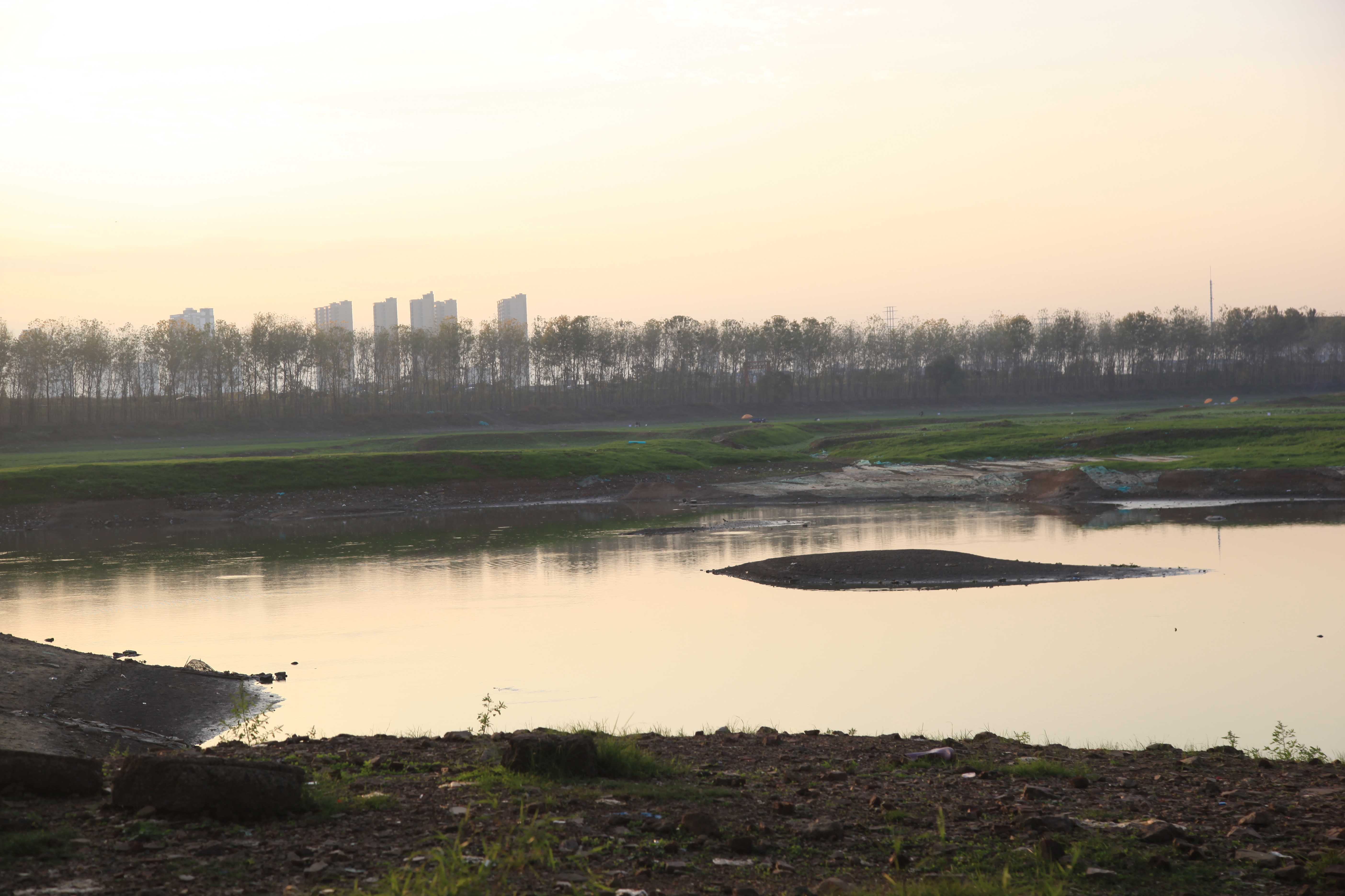 花田花海值得去吗,这些美到爆的花海一定要去看看
