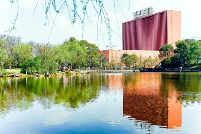 预估帖：重庆大学2020年会计（MPAcc）考研分数线与报录比