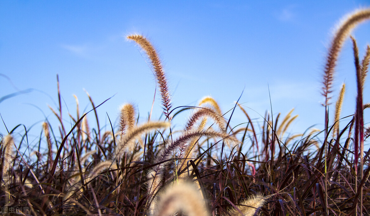 二年级下册语文第五单元日积月累,二年级人教版下册语文书日积月累