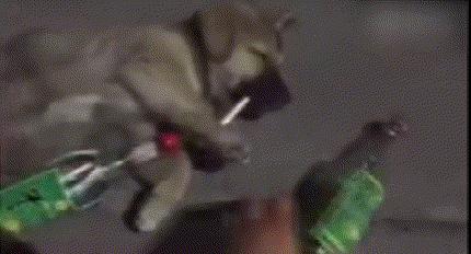 司机车库碾死醉汉,无罪谋杀后续