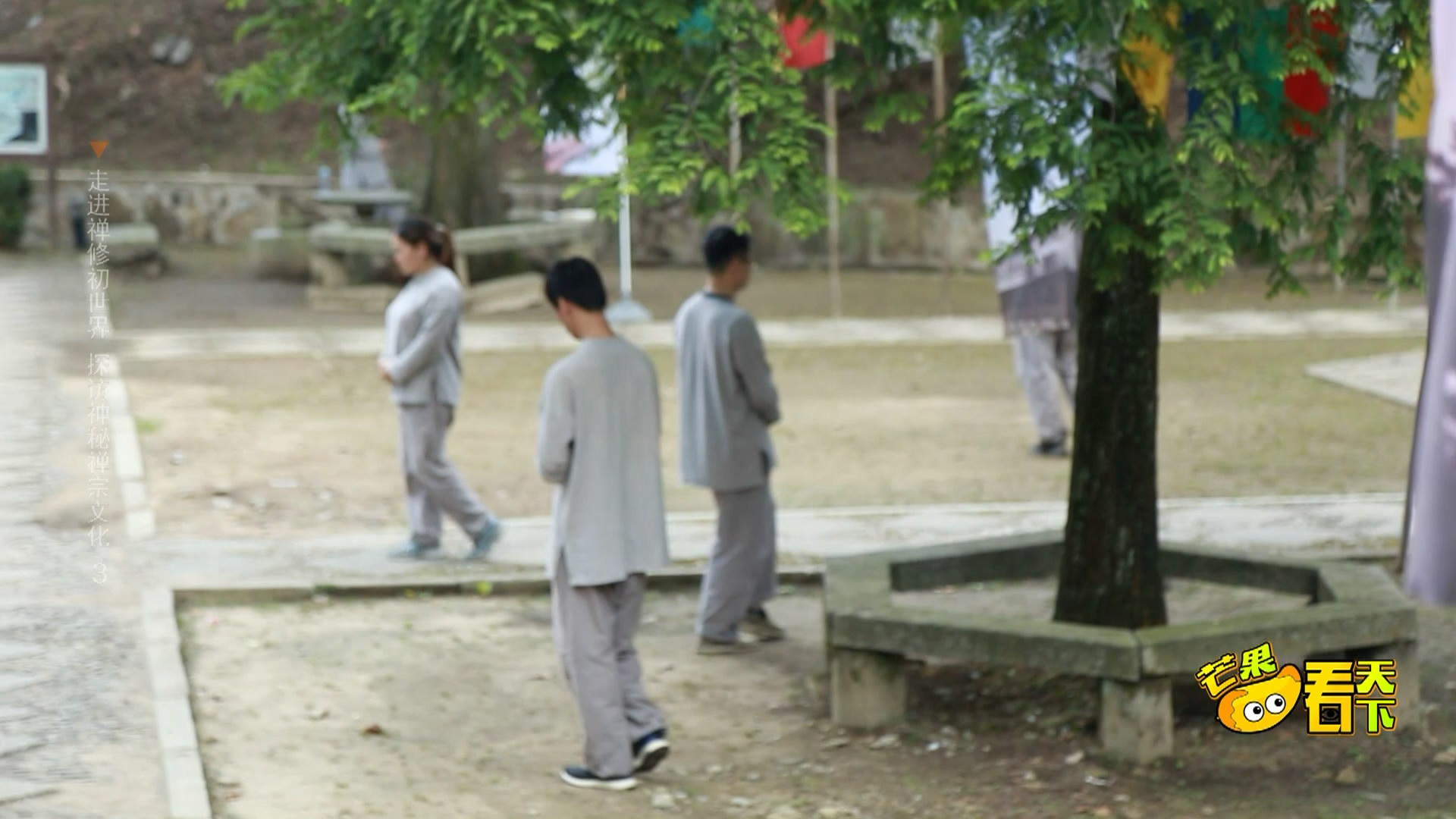 庐山禅修视频,庐山佛教发展史