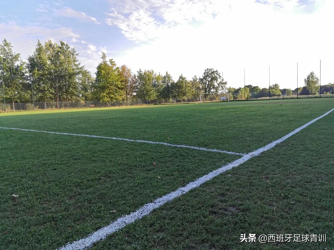 围观野球场,野球场遇见大佬