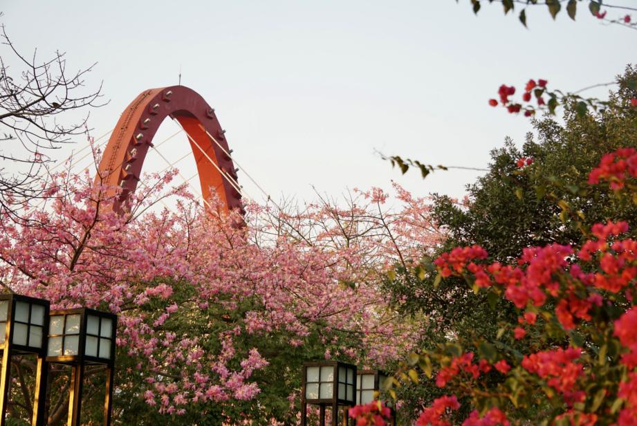 江门新围附近网红打卡点,江门好玩的地方网红打卡