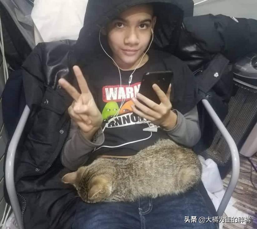 小伙将超市小猫偷偷抱走，却让自闭男孩失去唯一朋友，他也很爱猫