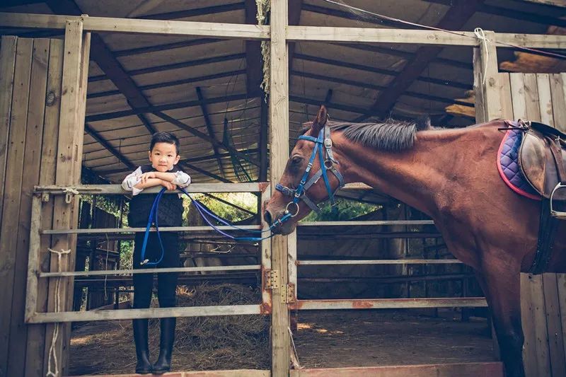 读国际学校的孩子,读国际学校的孩子今年还能出国么