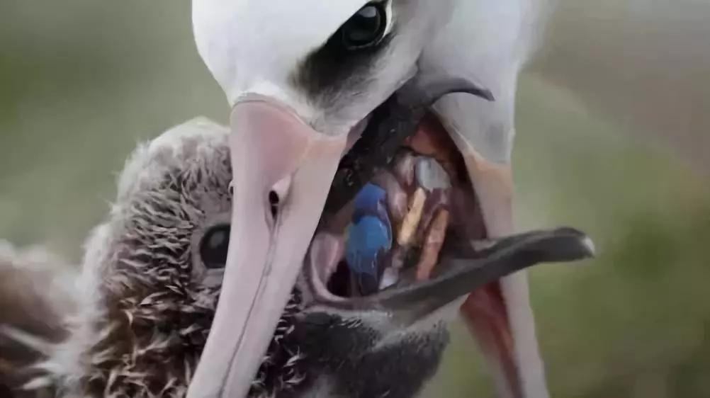 上海现在垃圾分类怎么样了,上海垃圾分类目前的现状