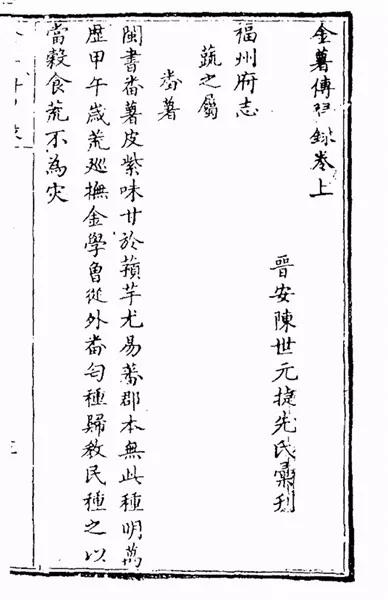 番薯的秘密故事,番薯传奇故事