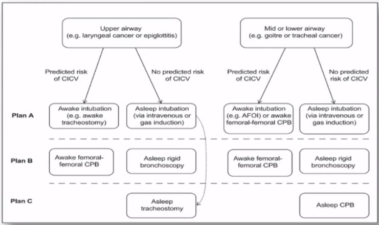 仓静教授最新视频,急性气道阻塞麻醉