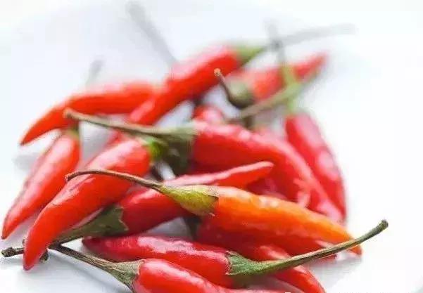 全世界辣椒排行榜前十,世界上十大辣椒排行榜