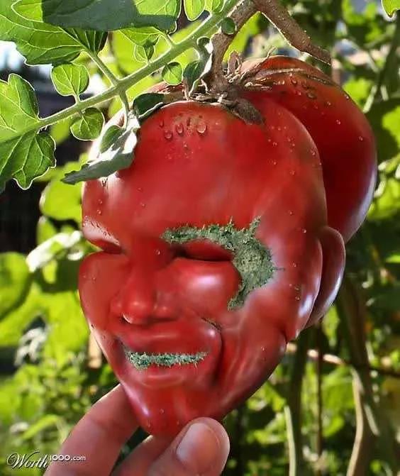 这么多冷知识你知道几个