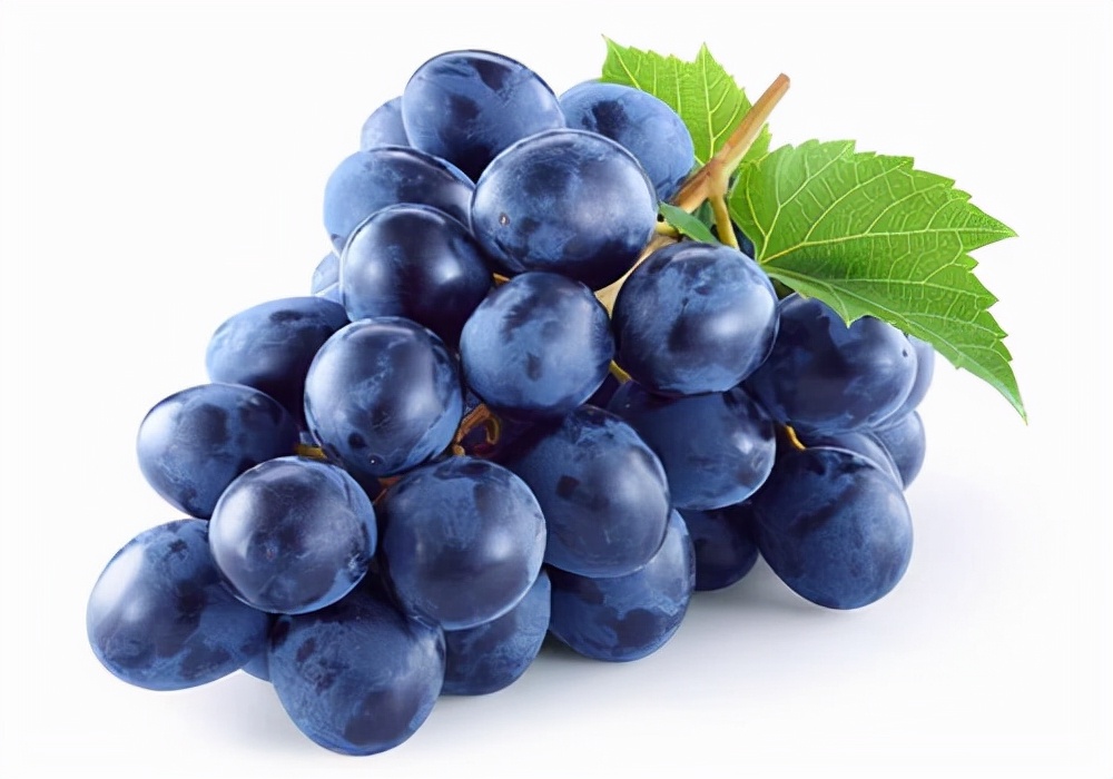 家有宠物尿骚味如何去除,小狗狗漏尿是什么原因