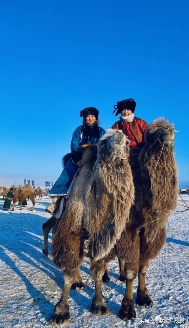 冬天的呼伦贝尔是这样的,今年呼伦贝尔的旅游