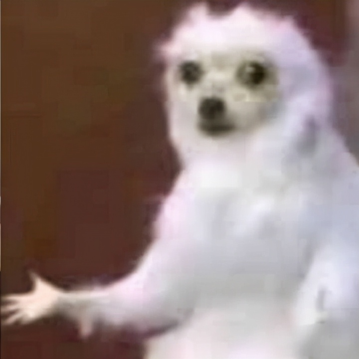 拍照鬼影是玻璃的问题吗,关于拍照鬼影的形成与解决方案