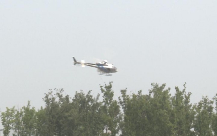 直升机喷农药防白蛾安徽,美国白蛾无人机防治