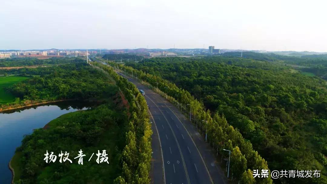 从a到z的成长,从a到z爱上茶的理由