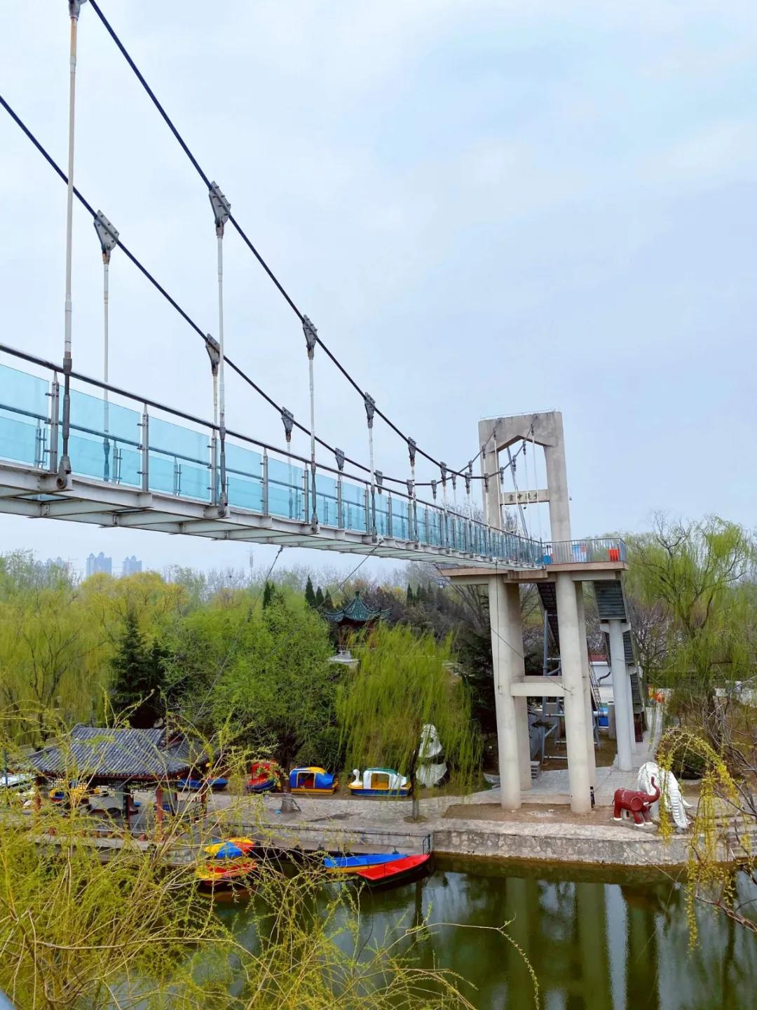 聊城姜堤乐园的门票是多少钱,姜堤乐园玻璃桥