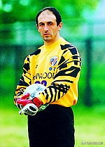 中国足球联赛门将外援,中国加盟五大联赛的门将