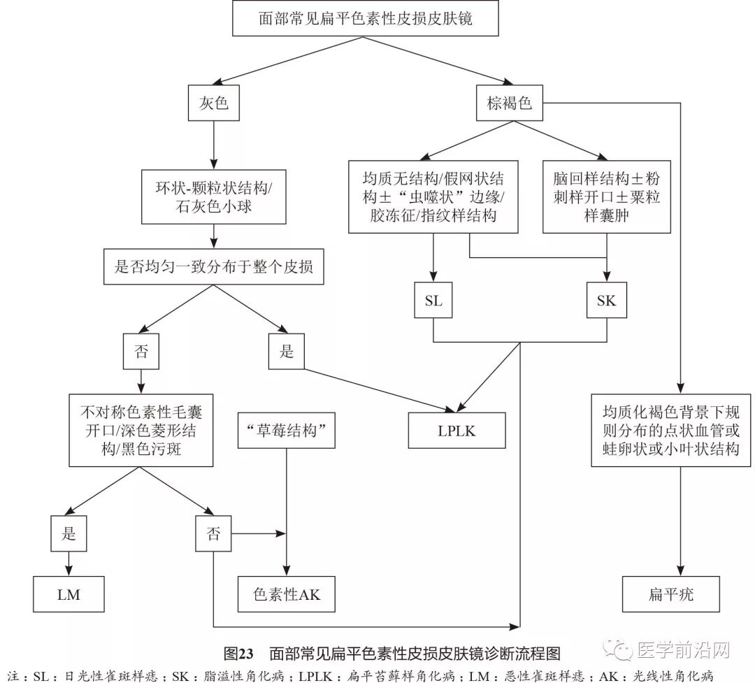 面部常见皮肤病皮肤镜诊断专家共识全文发布