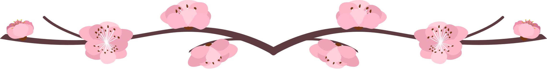 马上就清明节放假了，来场“樱花宴”吧！