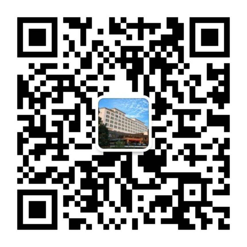 长汀宾馆银杏,长汀宾馆银杏叶