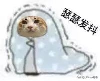 猫感冒会传染其他猫吗,猫感冒了有哪几种表现