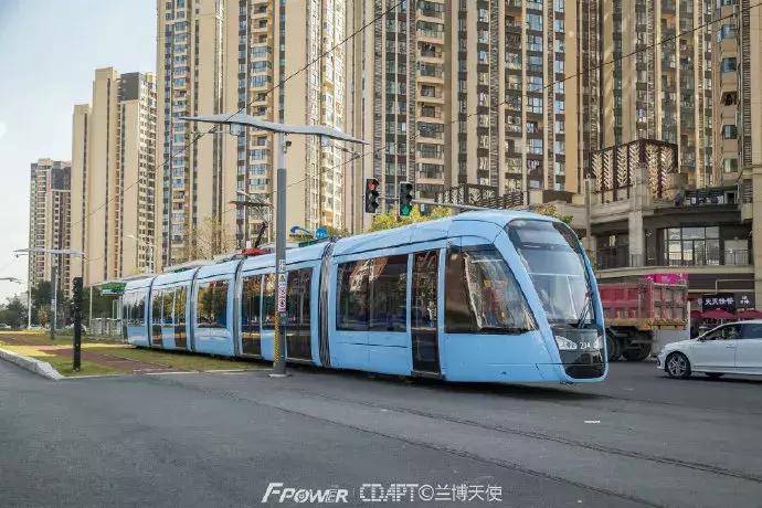 从蓉2来|天天看见“叮叮猫”跑来跑去的,它到底在忙什么啊?