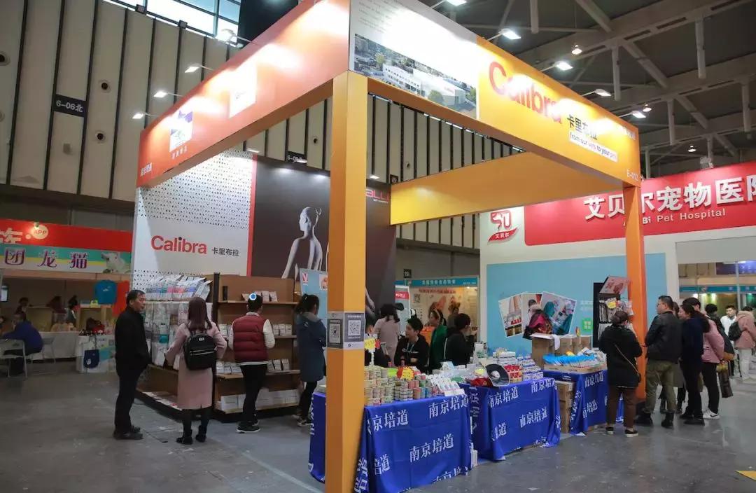 萌宠齐聚南京宠物博览会,day1