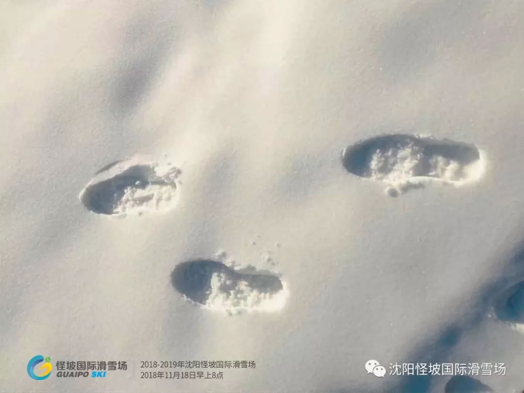 怪坡滑雪场最新视频,怪坡滑雪场今天人多不