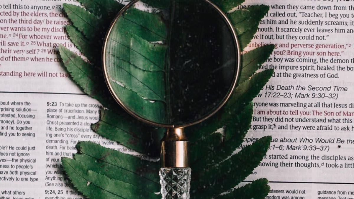 如何给领导汇报ppt开场白,给领导汇报材料的ppt应注意什么