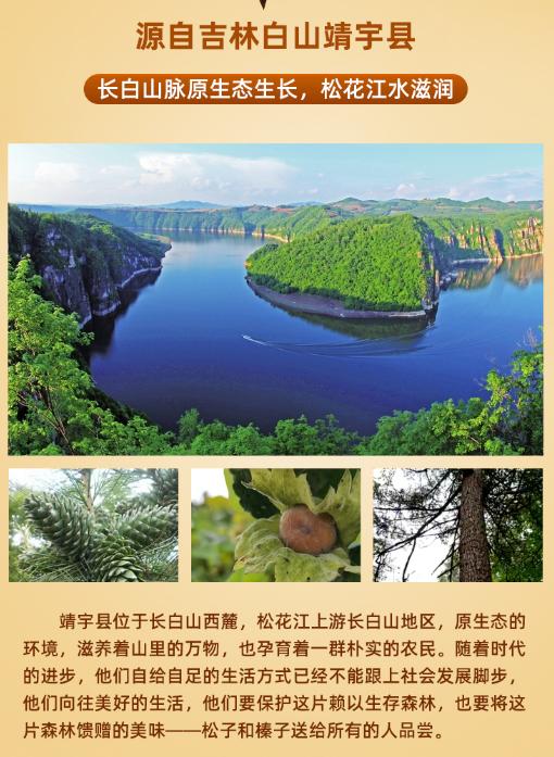 长白山榛子包邮,长白山青松邑坚果年货礼盒