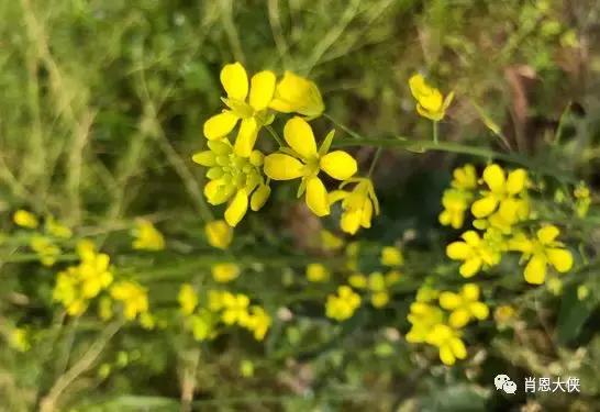 一个非典型的投资人的崛起,非典型投资者的感受