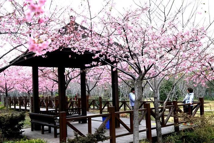 在上海一个月工资两万什么水平,月薪不过3万的看过来