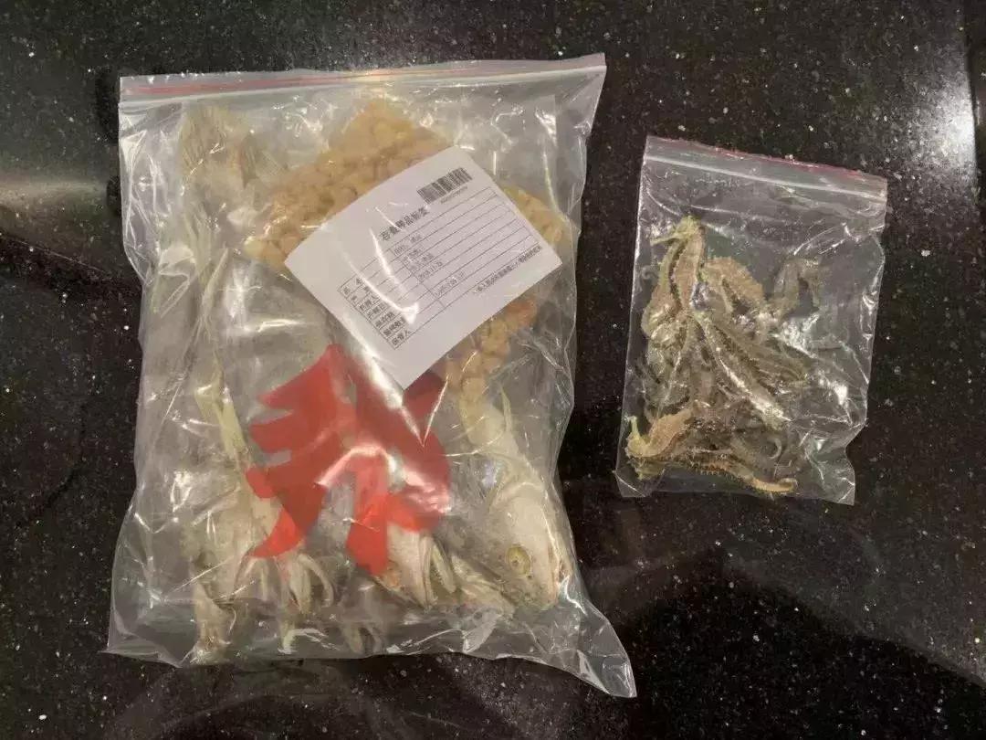 去香港带什么会被罚款,深圳人去香港可以呆多久