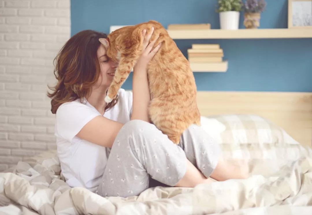 人宠共患病,弓形虫病是人畜共患病吗