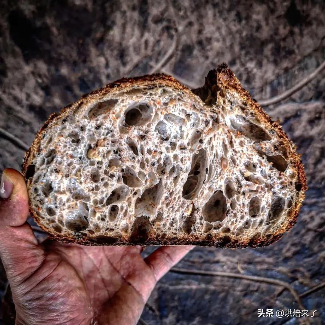 防止面包发霉的方法有哪一些呢,面包发霉最快的办法