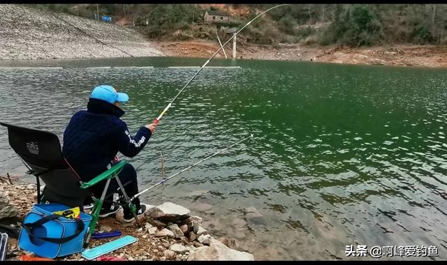 为何它能有这么高的价值？市场售价近百元一斤，重唇鱼珍贵在哪？