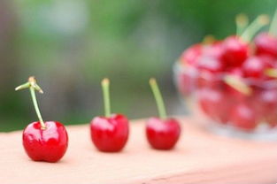 做人再穷不要丢掉原则,哪怕再穷做人的七条原则