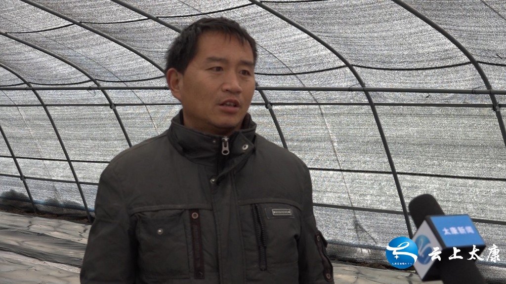 决战决胜脱贫攻坚产业扶贫,脱贫攻坚致富之路