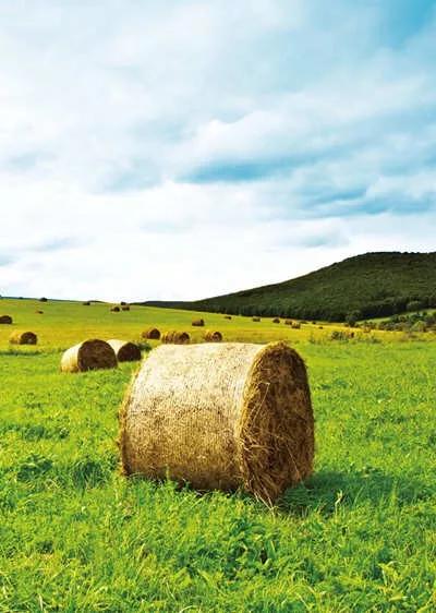 呼伦贝尔好客草原私人牧场,呼伦贝尔著名草原