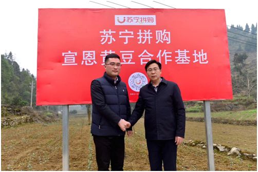 苏宁易购农村电商改进思路,苏宁电商发展历程