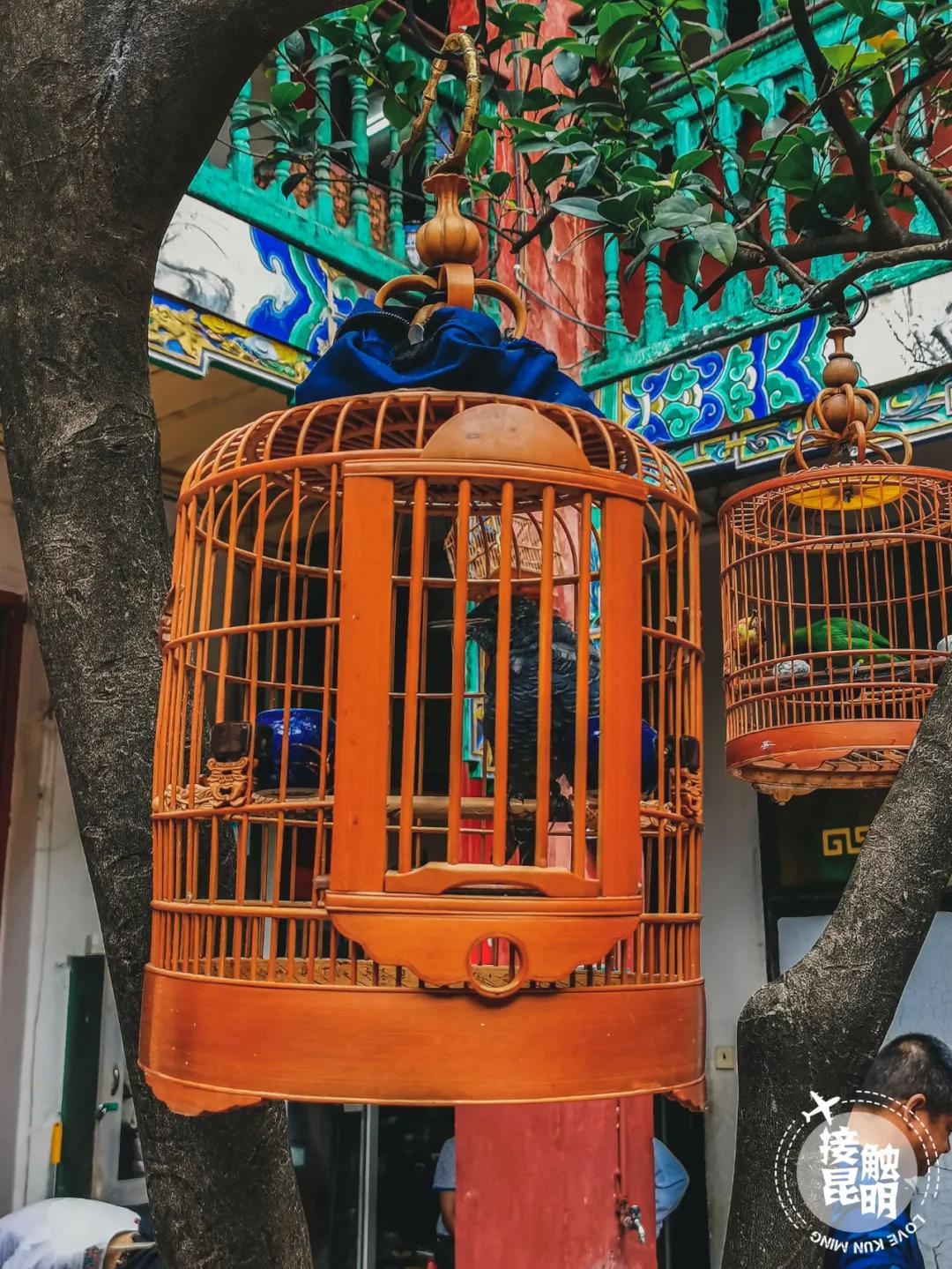 昆明古玩市场哪个市场最热闹,昆明的古玩市场在哪里