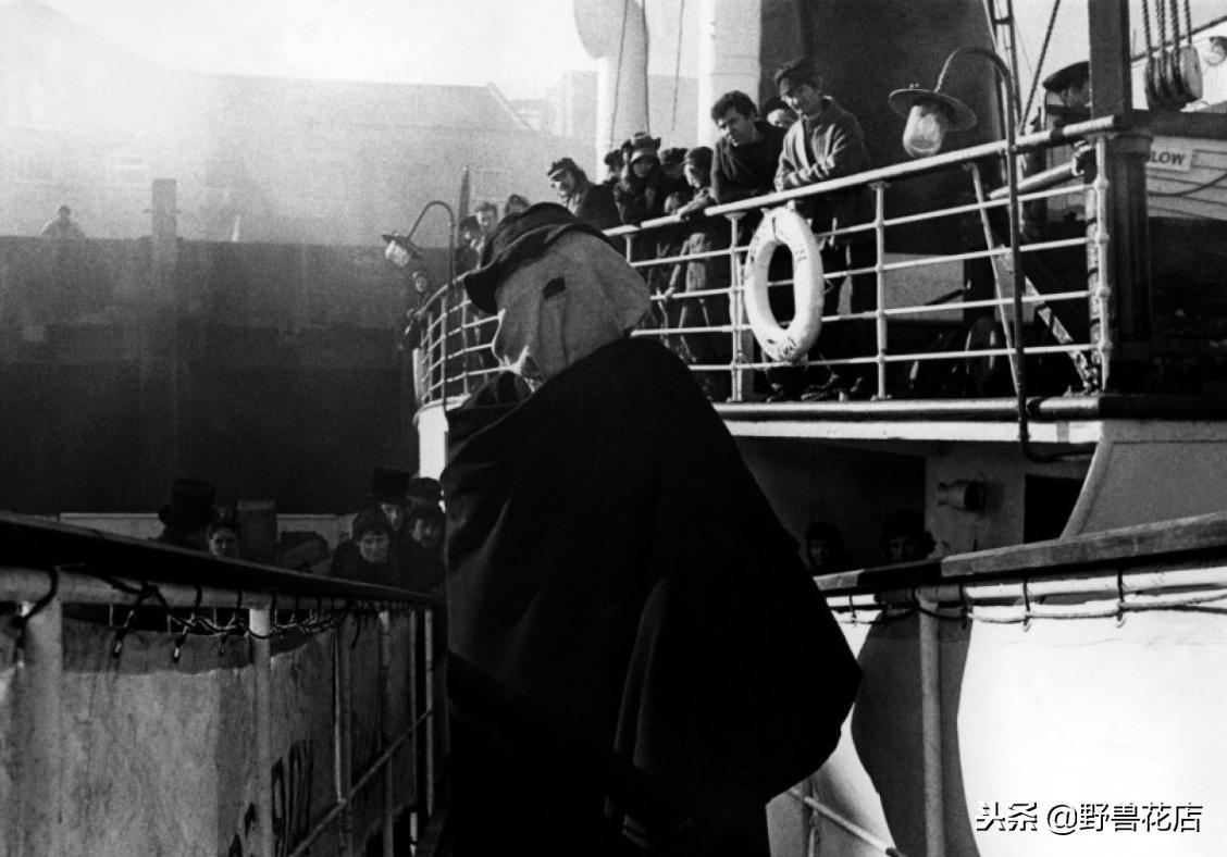 关于大象的经典电影,有关于大象的电影