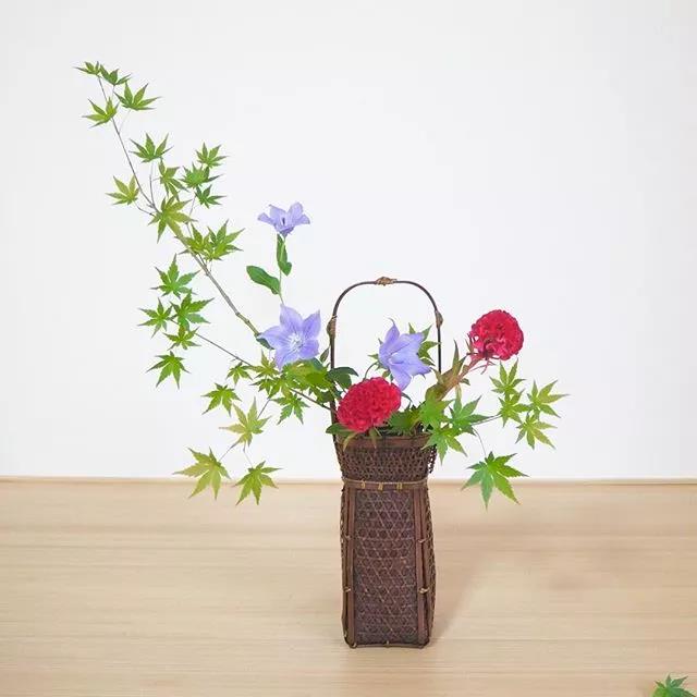 一花一世界一叶一菩提本来无一物,一花一世界一叶一菩提一场梦