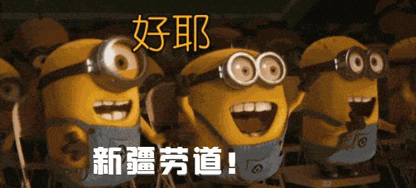 那些让人忽视的世界冠军,地表最强28个世界冠军