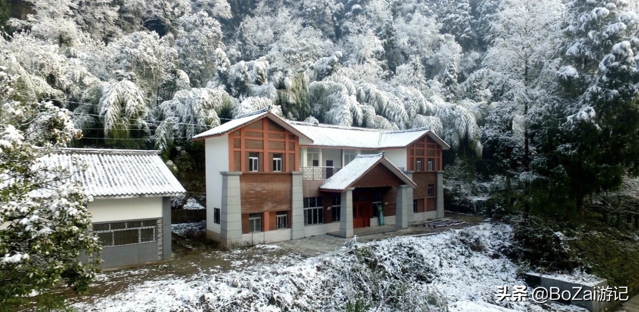 去四川南充都有哪些好耍的,南充市区最好的景点排名前十