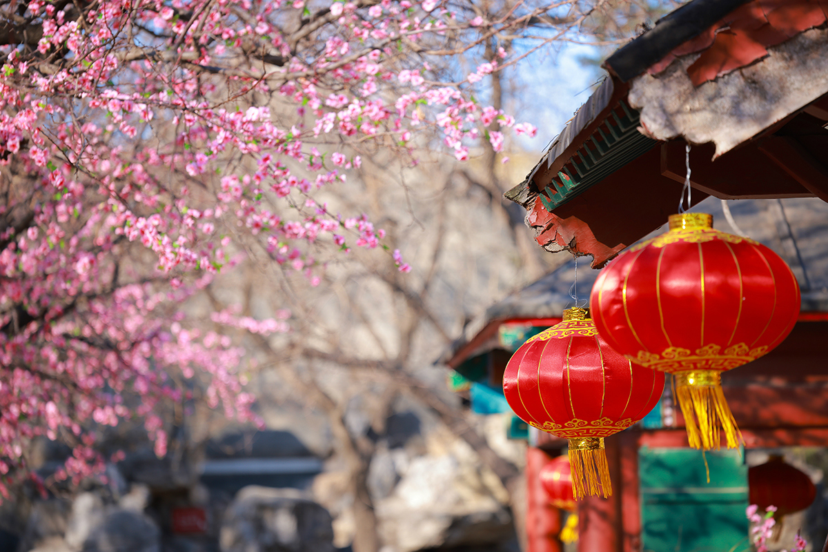 史上最轻便长焦利器佳能RF70-200mmF4L镜头评测