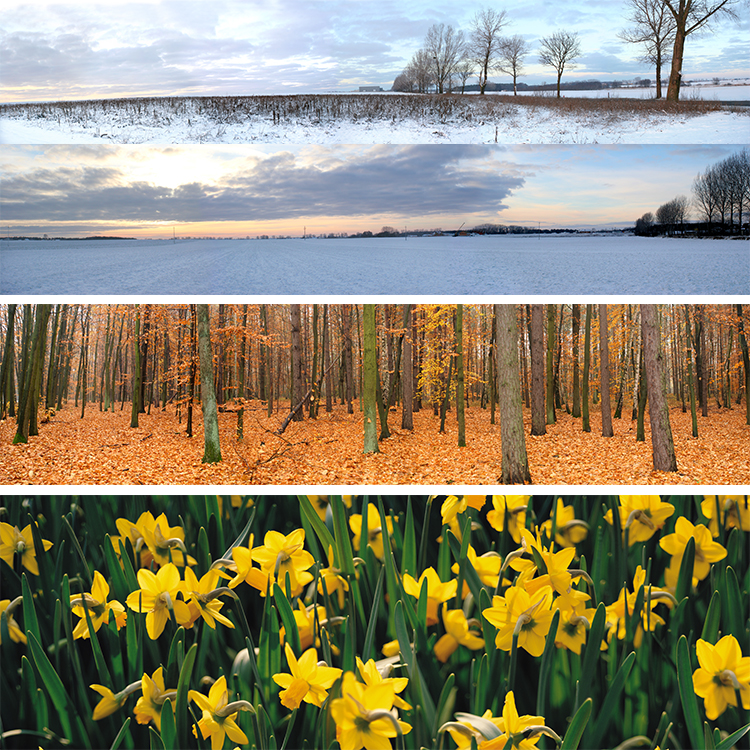 8000张ps底图素材合集,国内免费ps设计图下载