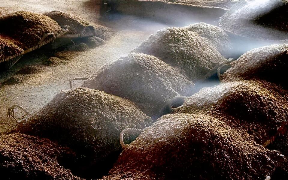 喝了这么多年酒什么都看透了,喝了这么多年的酒你懂吗