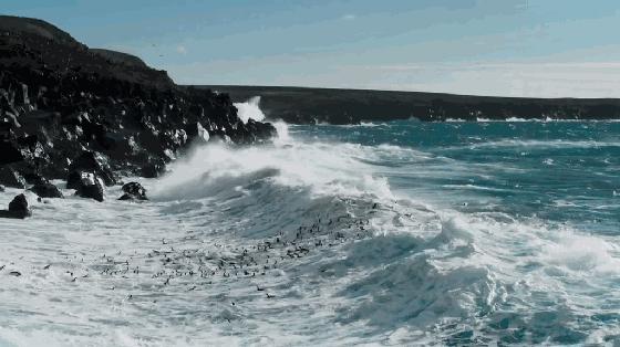 长春家长都领着孩子在干这件事儿，你没做，就落后了！