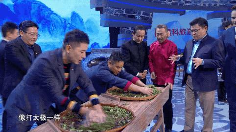 魅力中国城武夷山制茶师,魅力中国城武夷山